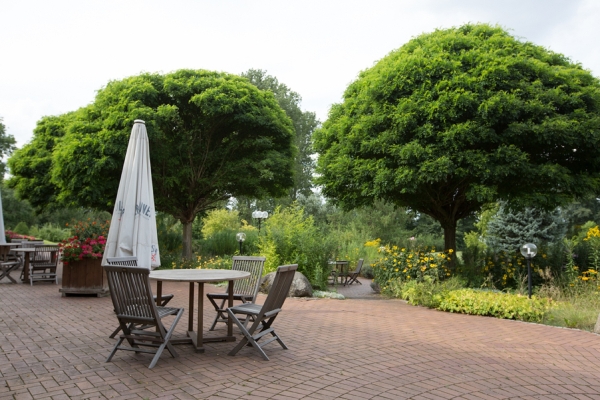 Seeparkhotel am Wandlitzsee